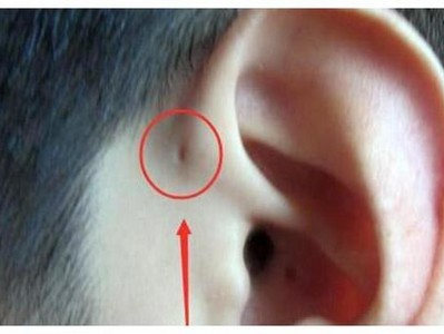 你有“聪明耳”吗?悄悄告诉一些你不知道的小秘密。